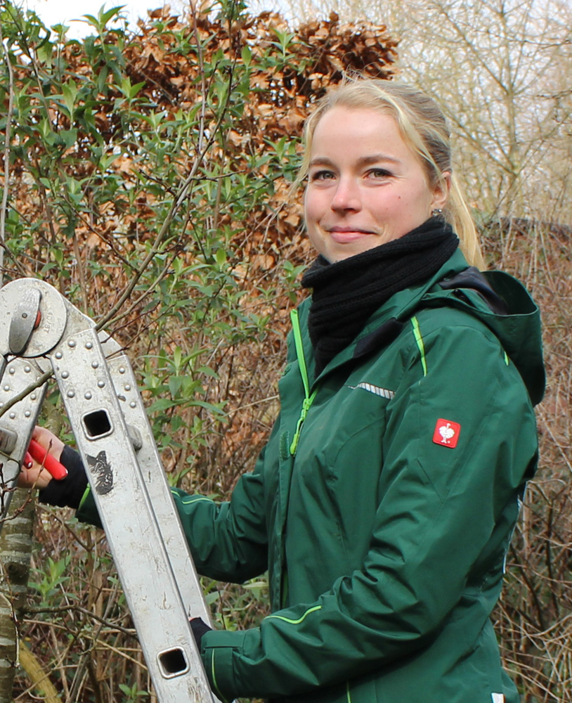 STEFANIE SCHÜRING