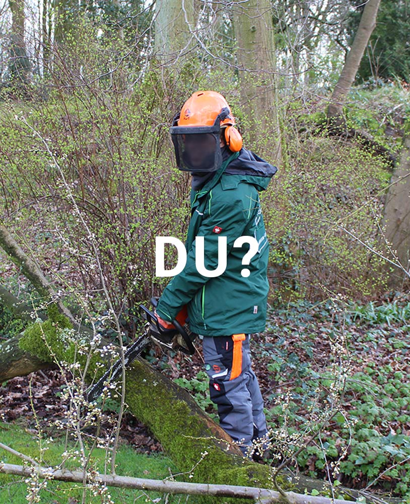 Unser Team sucht Verstärkung